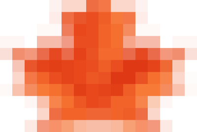 Trường TH Trần Quang Khải  tổ chức Lễ tổng kết năm học 2023 – 2024